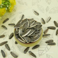 striped sunflower seeds